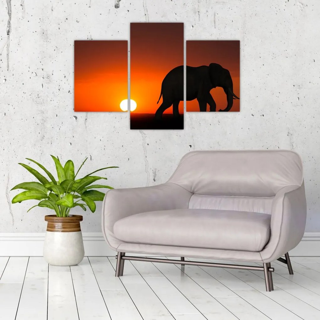 Tablou cu elefant în apus de soare (90x60 cm)