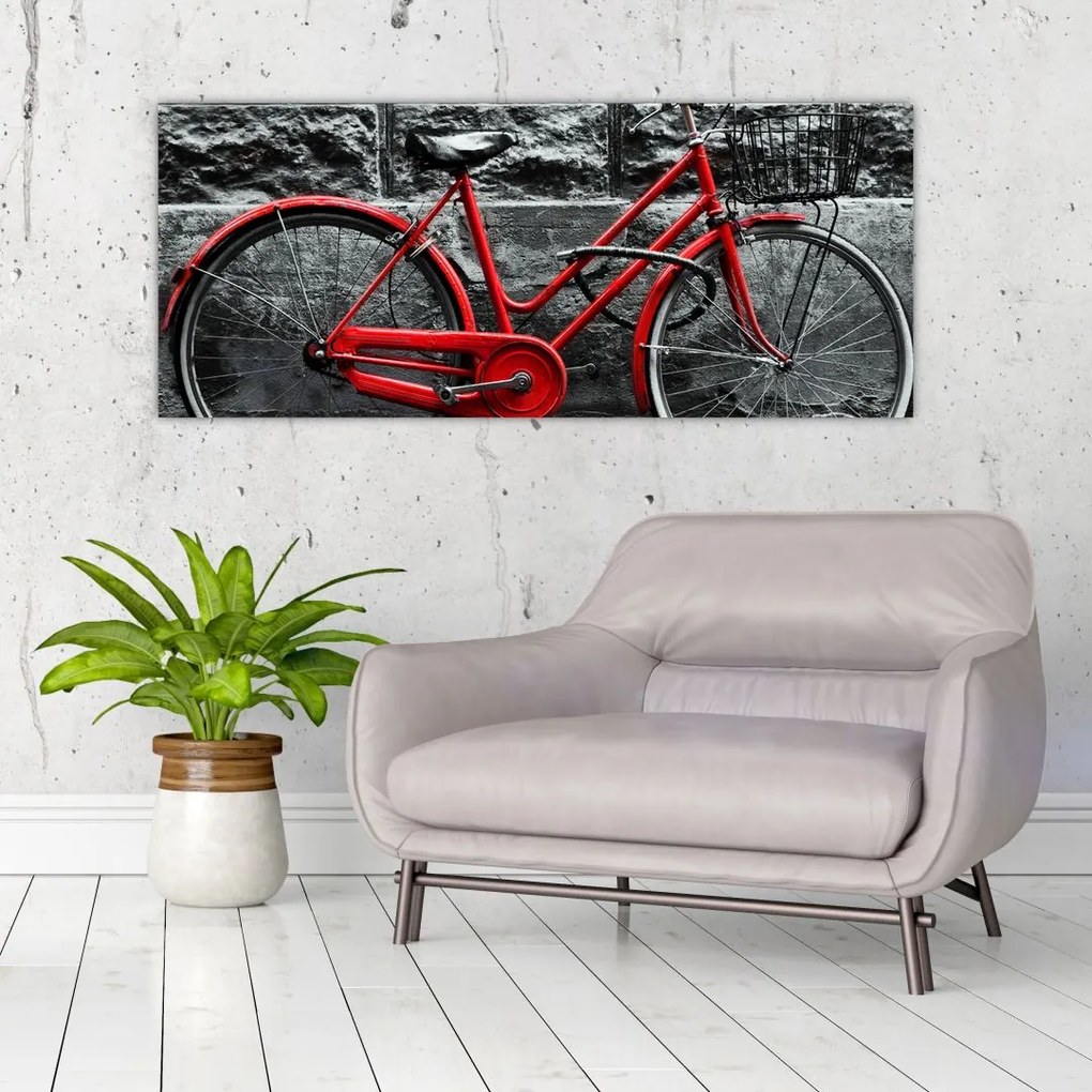 Tablou - Bicicleta istorică (120x50 cm)