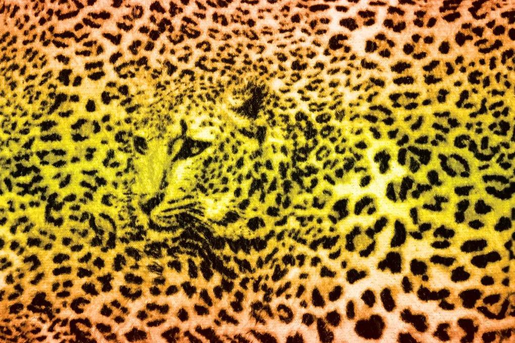 Fototapet - Gepard leopard animal (152,5x104 cm), în 8 de alte dimensiuni noi