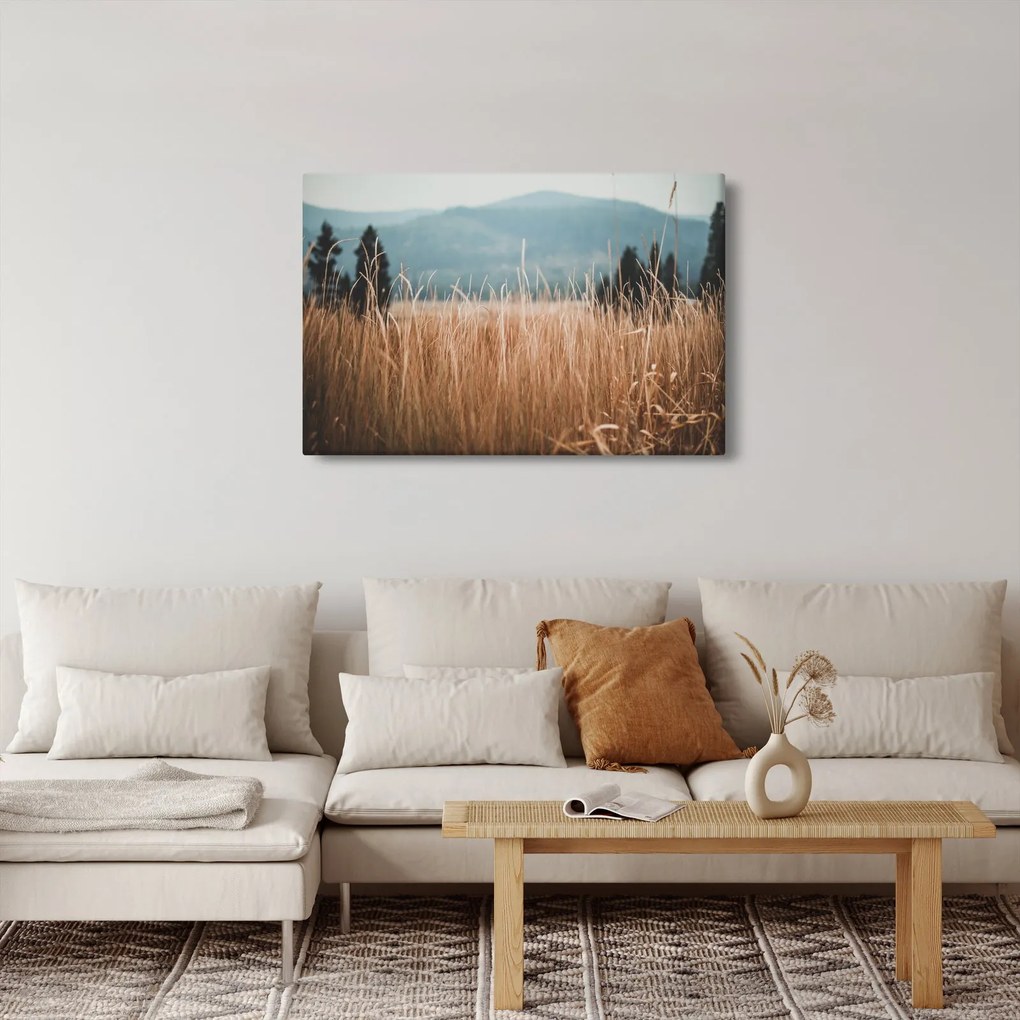 Tablou - detaliu spațiului de luncă (90x60 cm)