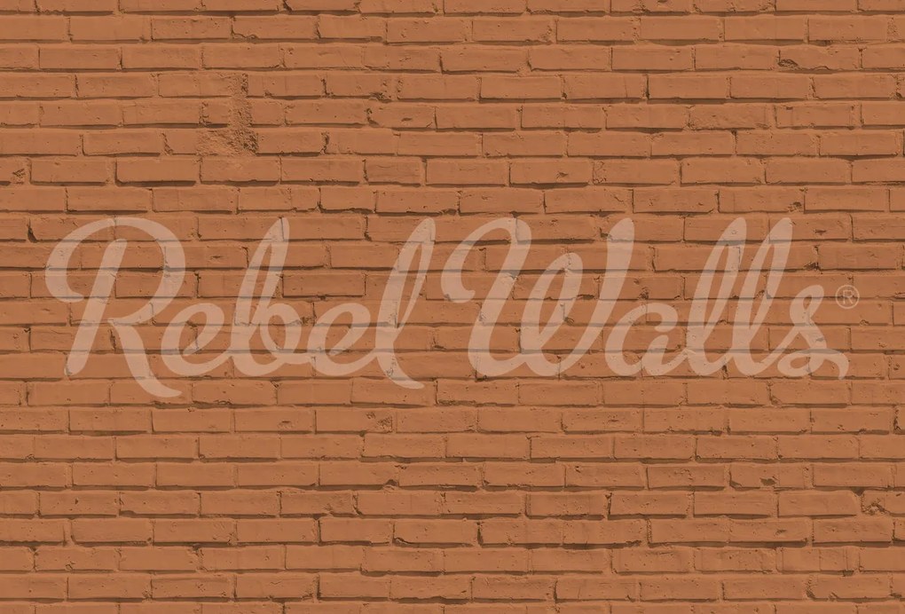 Tapet Wall of Bricks, Terracotta, Rebel Walls