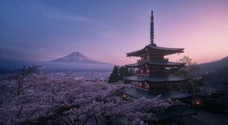 Fotografie Mt Fuji Sakura, Javier de la