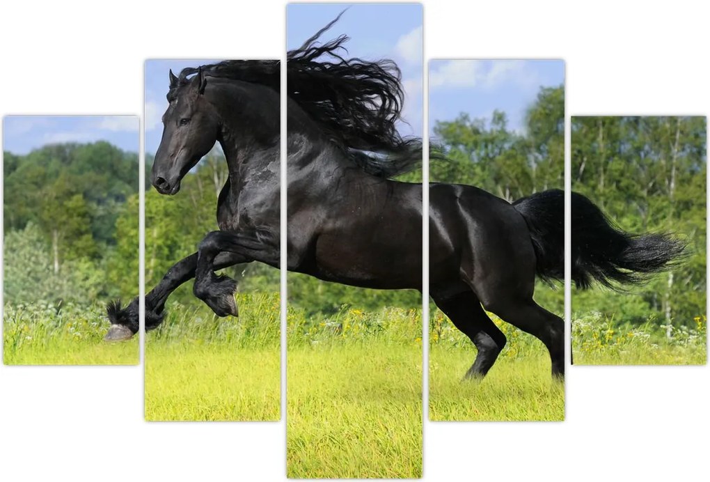 Tablou - Cal cu o coamă curgătoare (150x105 cm)