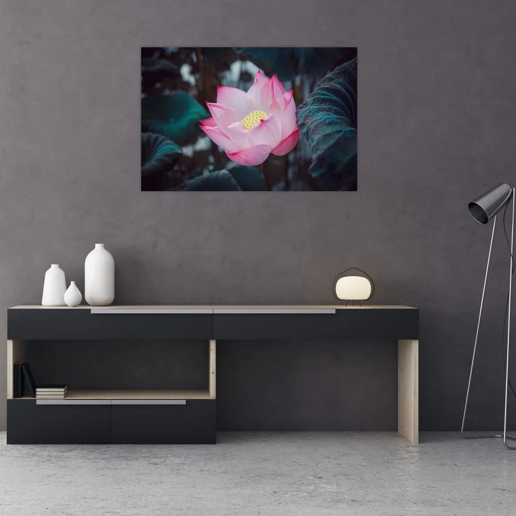 Tablou cu floare roz (90x60 cm)
