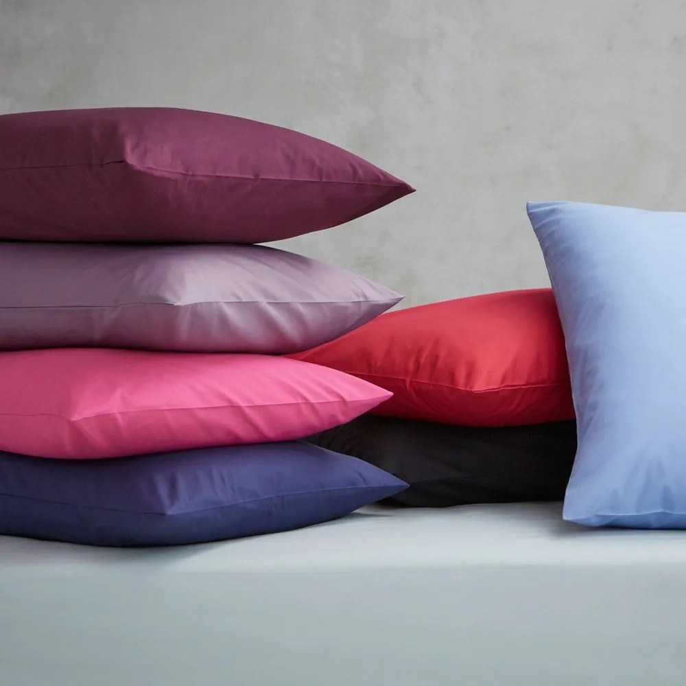 Cearceaf maro deschis din bumbac percale cu elastic 90x190 cm Easy Iron Percale – Catherine Lansfield