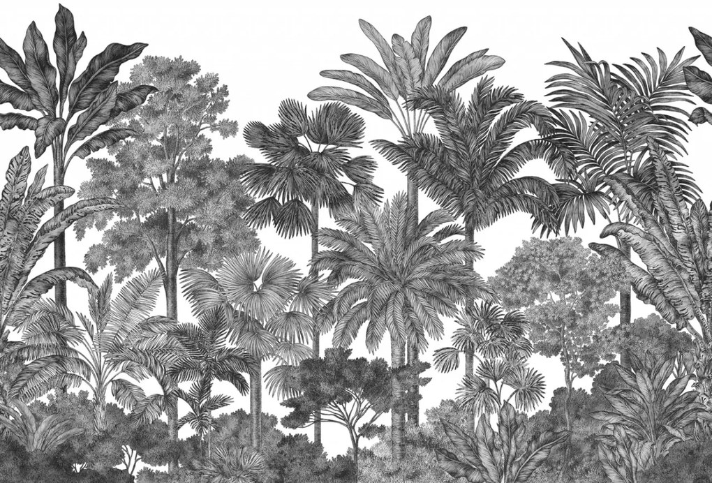 Tapet Tropical Bellewood, Graphite, Rebel Walls