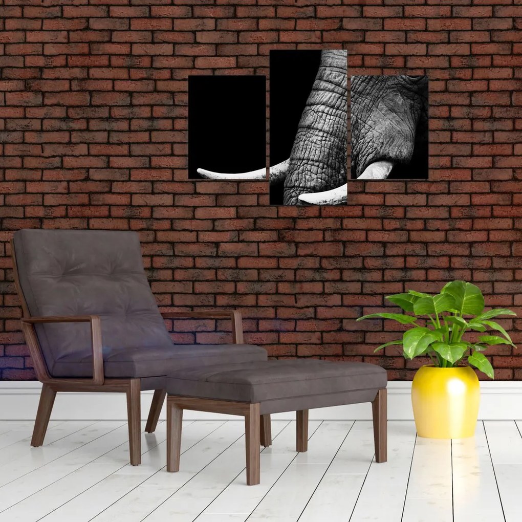 Tablou - Colți de elefant (90x60 cm)