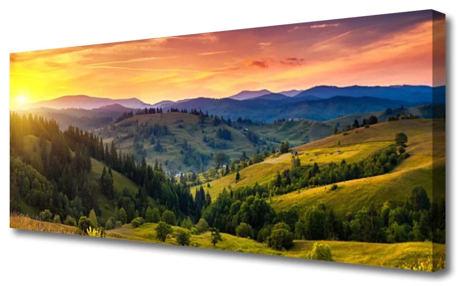 Tablou pe panza canvas Sun Mountain Forest Meadow Natura Galben Albastru Verde