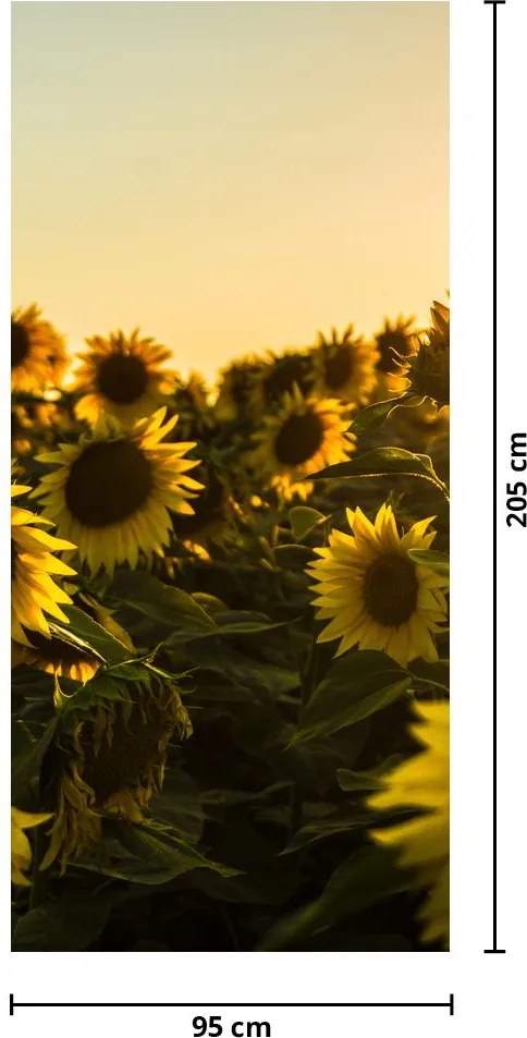 Fototapet pentru ușă - Câmpul cu floarea soarelui (95x205cm)