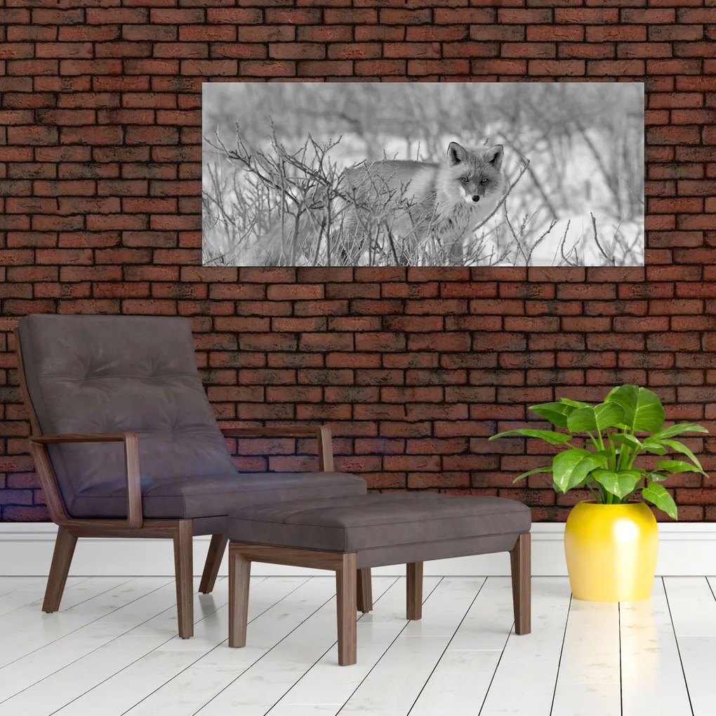 Tablou - Vulpe,alb-negru (120x50 cm)