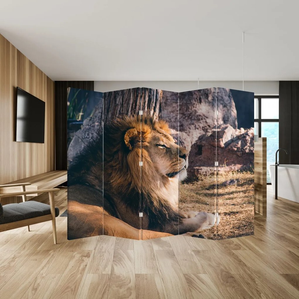 Paravan - Leul dormind (210x170 cm)