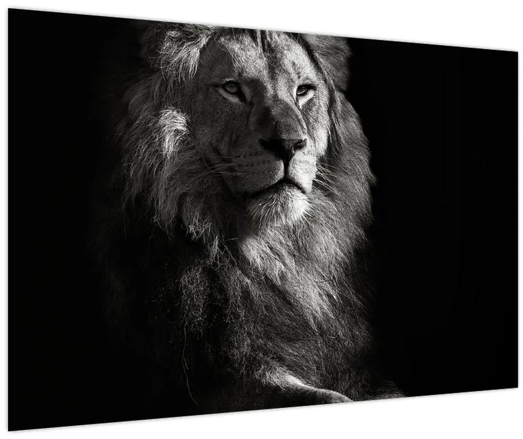 Tablou - Leu (90x60 cm)