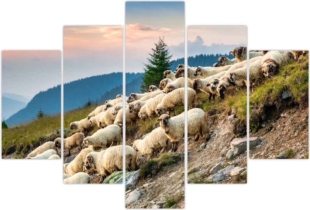 Tablou - O turmă de oi (150x105 cm)