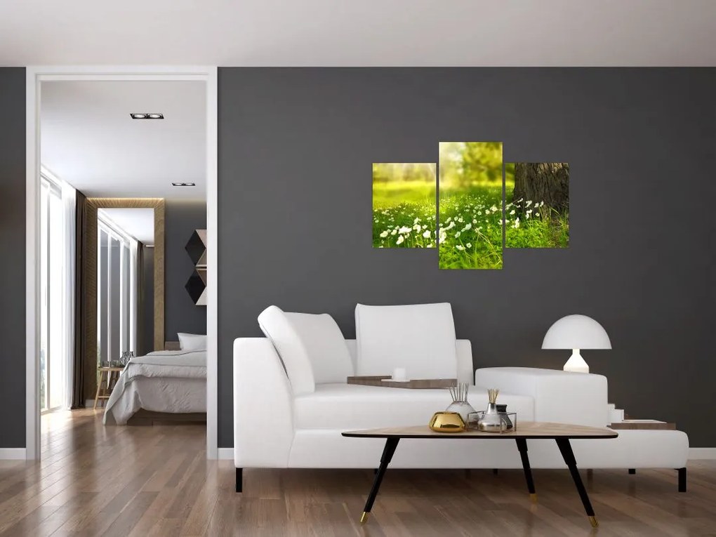Tablou cu poiana și flori (90x60 cm)