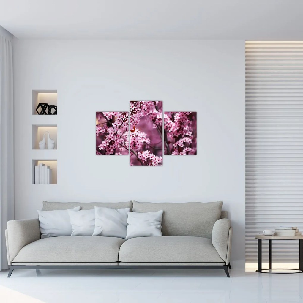 Tablou - Sakura roz (90x60 cm)