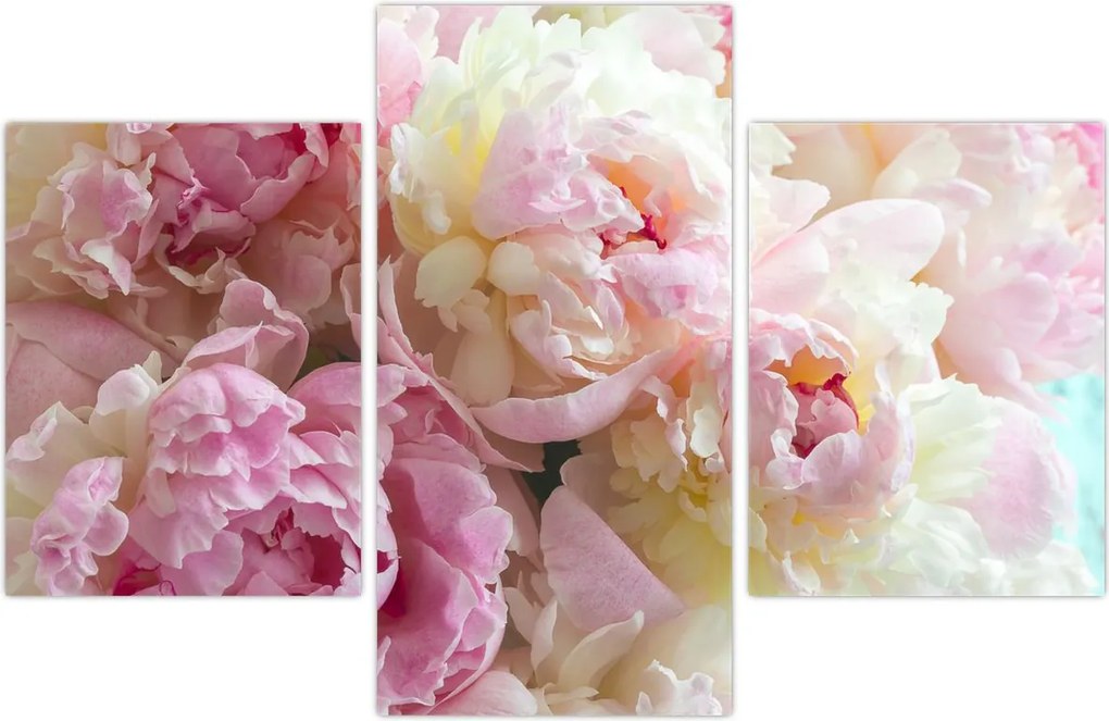 Tablou - Bujori (90x60 cm)