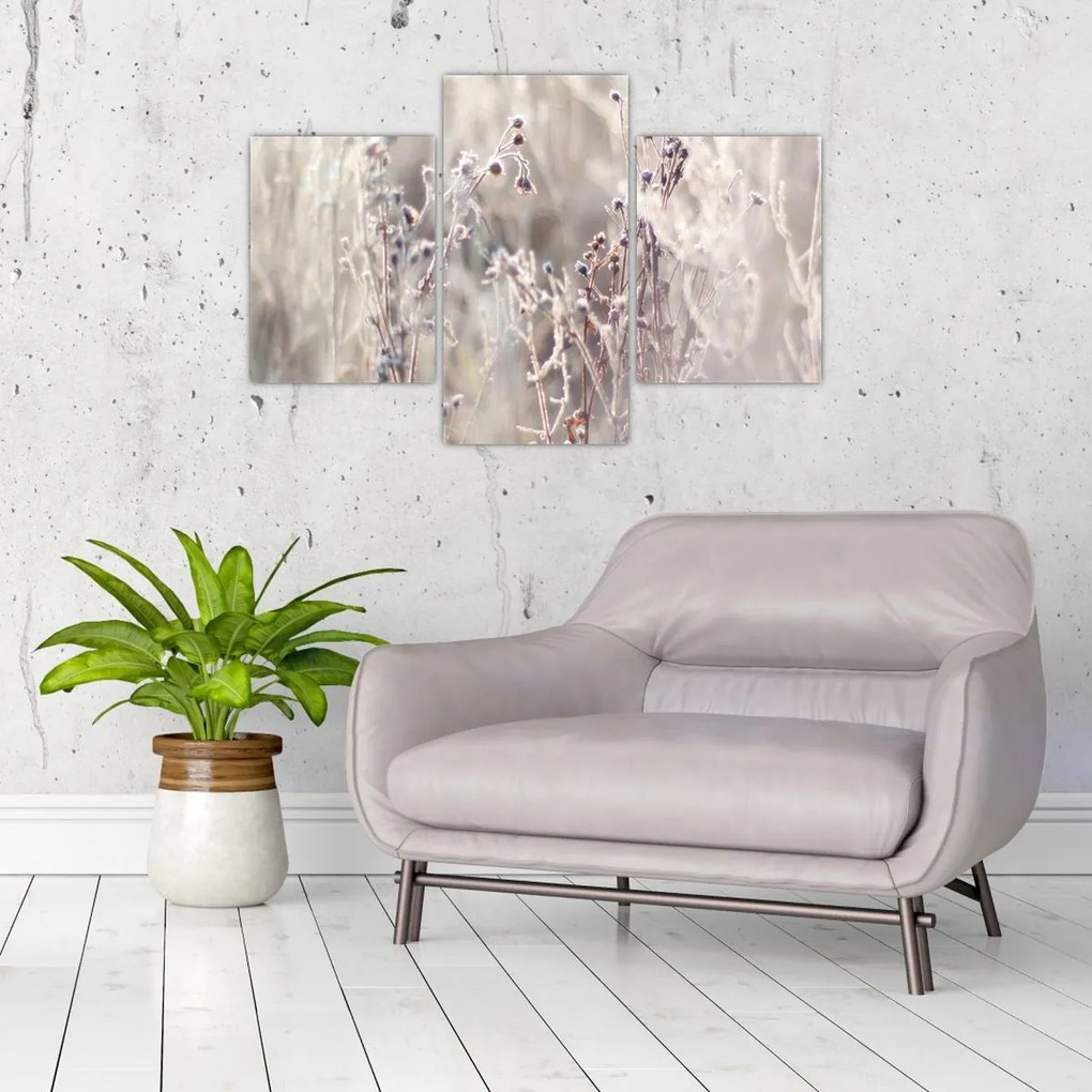 Tablou - Plante (90x60 cm)