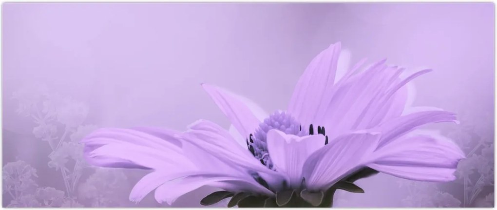 Tablou - Flori mov (120x50 cm)