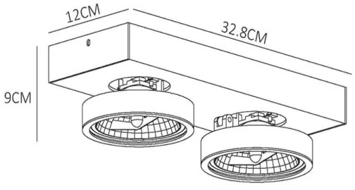 Lucide 09920/20/31 - LED Lampă spot dimmabilă NENAD AR111 G53/2x10W/18V