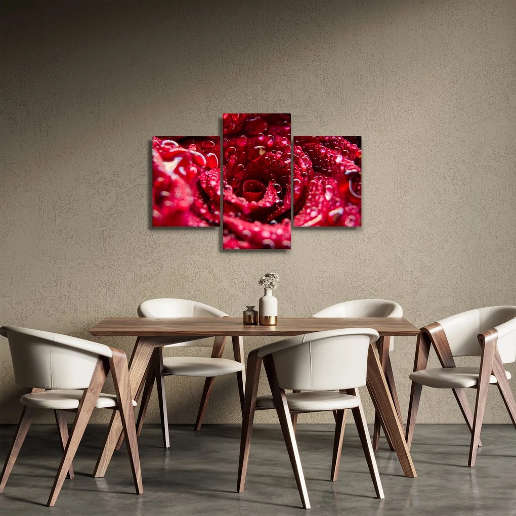 Tablou cu floarea trandafirului roșu (90x60 cm)