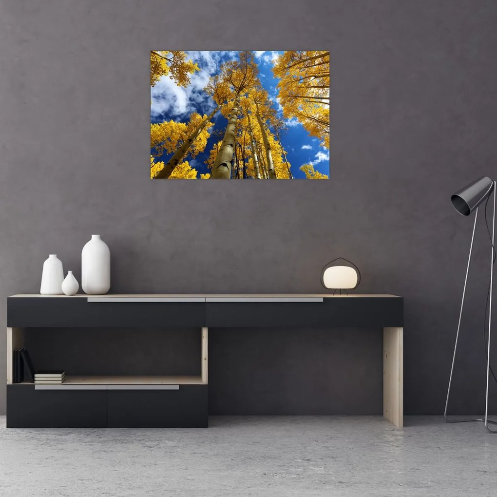 Tablou pe sticlă - Aspen (70x50 cm)