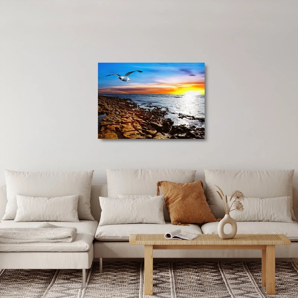Tablou pe sticlă - Pescărușul zboară deasupra coastei (70x50 cm)