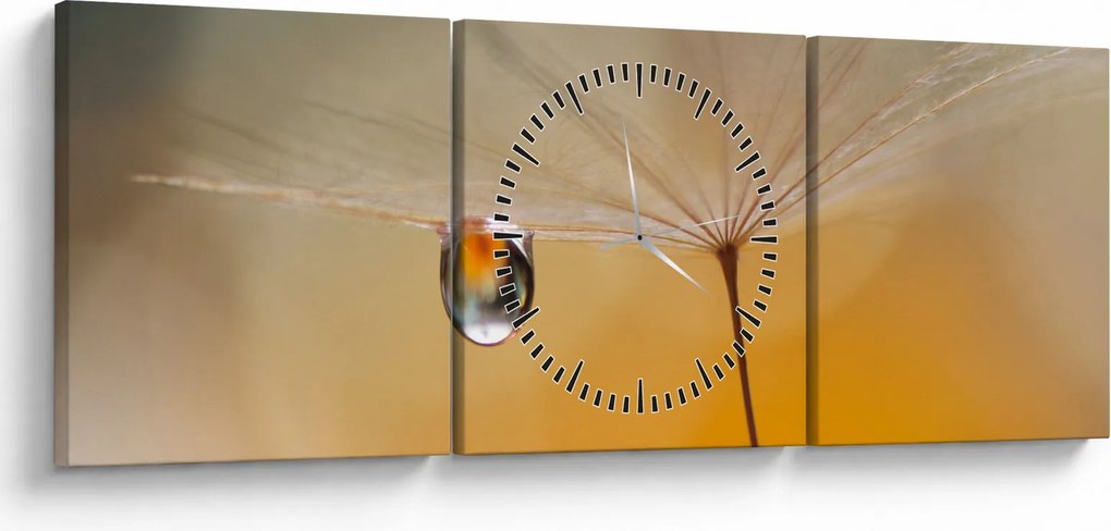 Tablou - Flori macro (cu ceas) (90x30 cm)