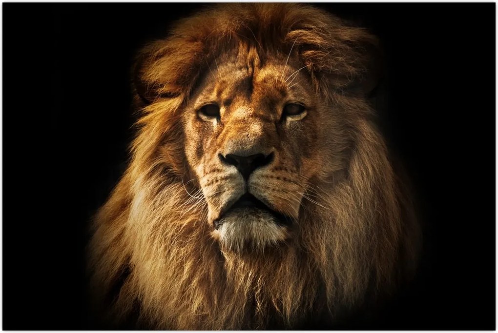 Tablou - Leu cu o coamă bogată (90x60 cm)