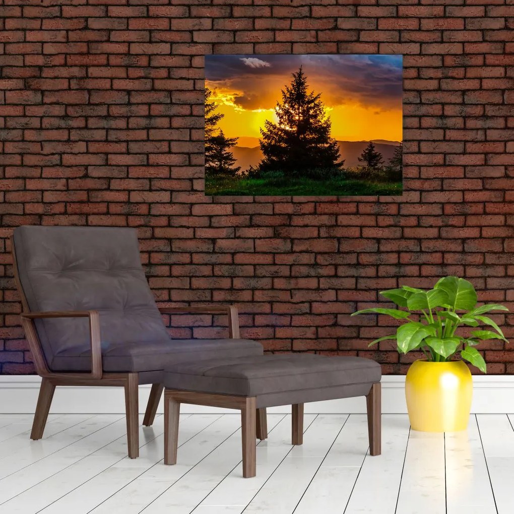 Tablou - coniferi (70x50 cm)