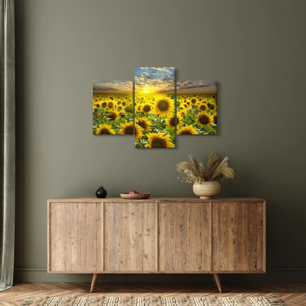 Tablou - Floarea-soarelui la apus de soare (90x60 cm)