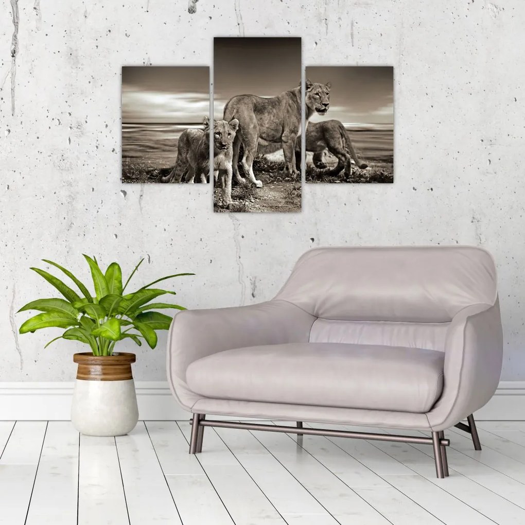 Tablou cu leii alb negri (90x60 cm)