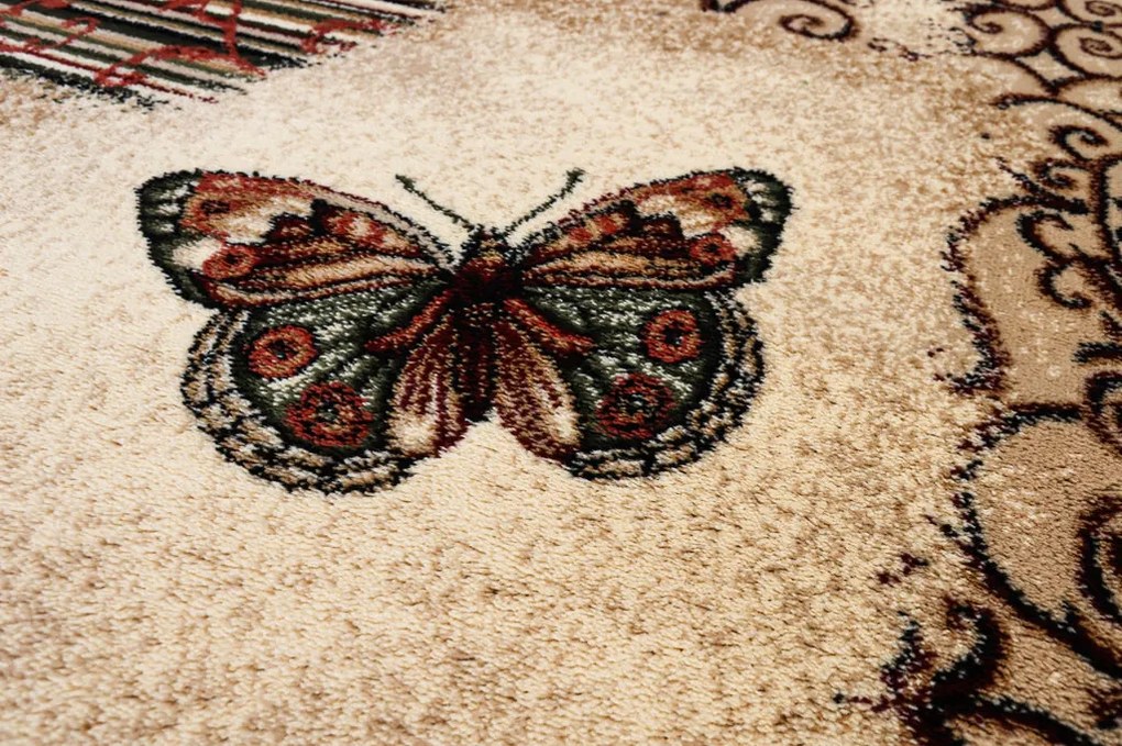 Covor Modern Lotos Fluturi 1607