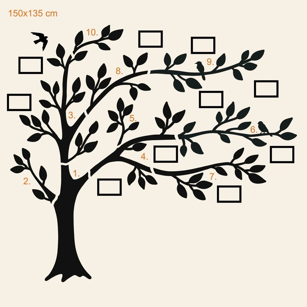 DUBLEZ | Arbore genealogic cu poze (10 rame foto)