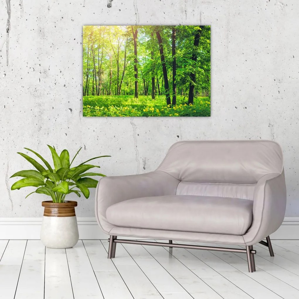 Tablou pe sticlă - Pădurea cu frunze de primăvară (70x50 cm)