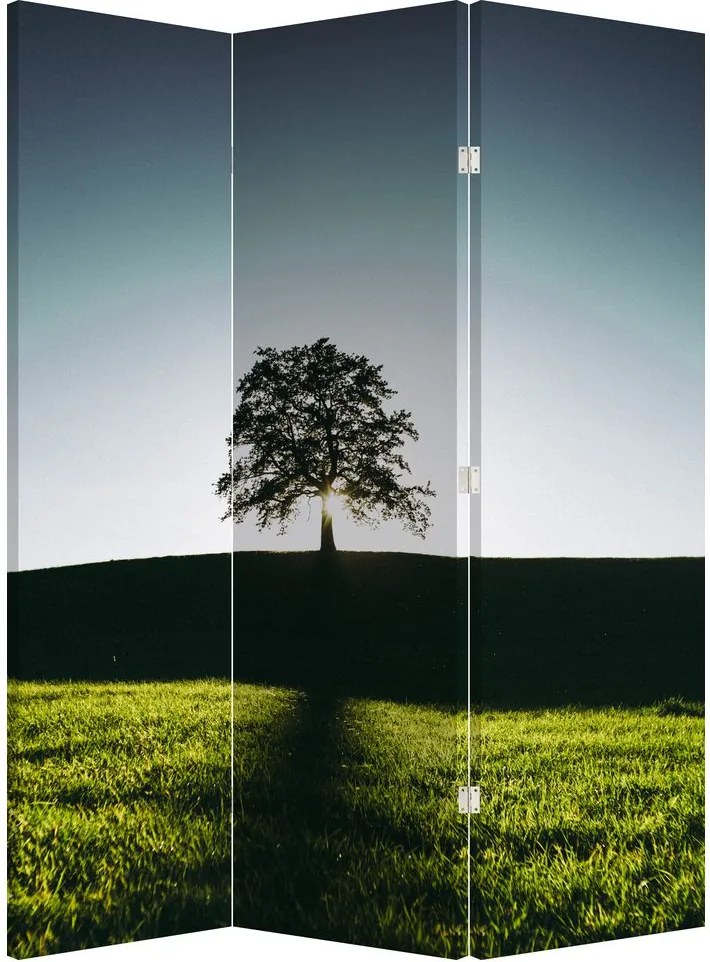 Paravan - Copac (126x170 cm)