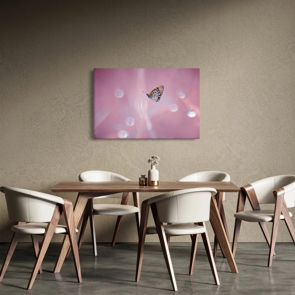Tablou - Fluture (90x60 cm)