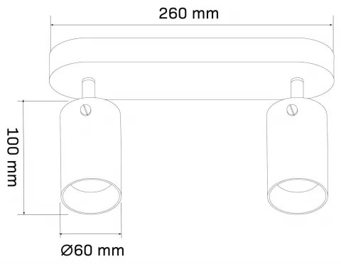 Spot SMOKY 2xGU10/10W/230V negru