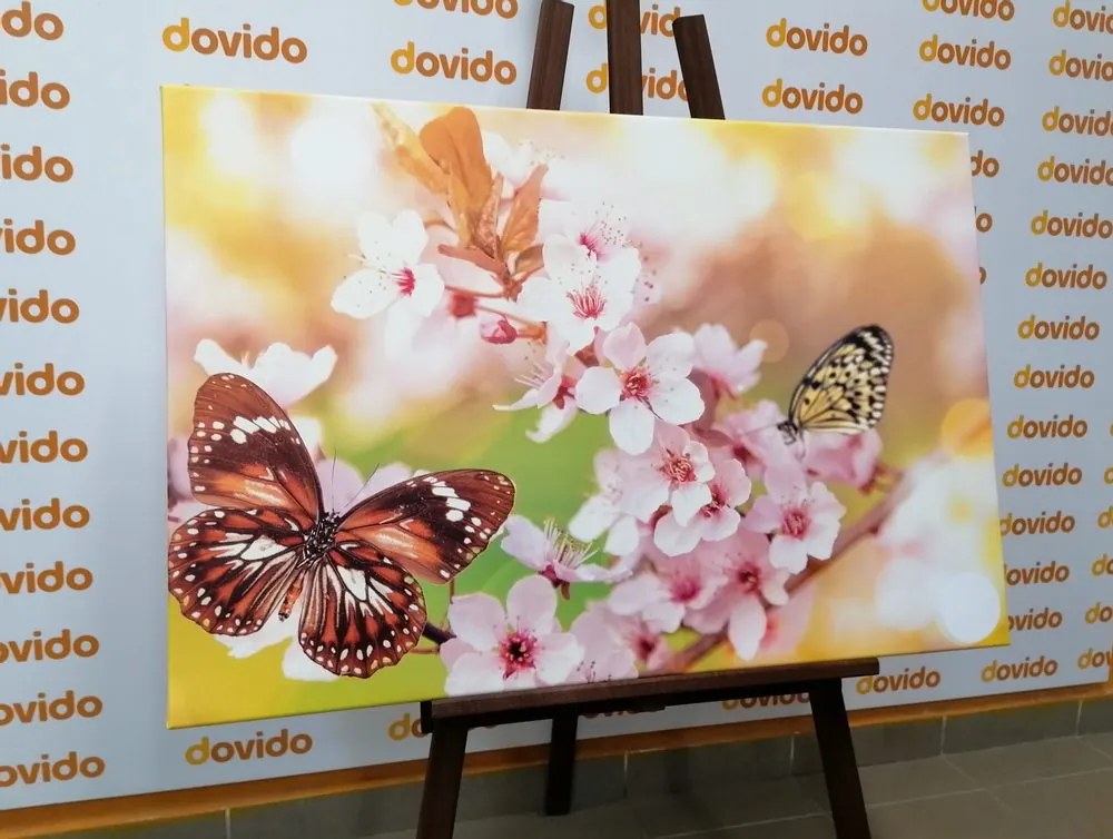 Tablou florile de primăvară cu fluturi exotici