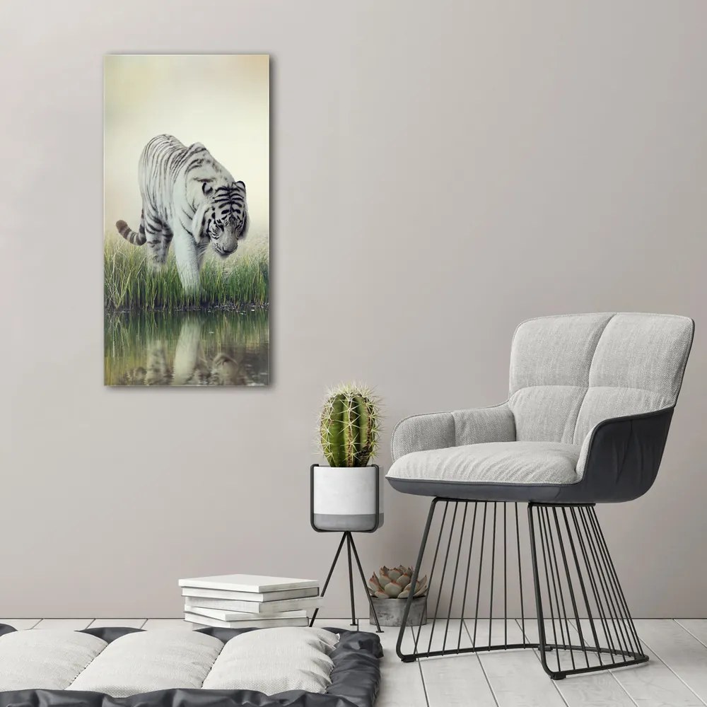 Tablou pe pânză canvas Tigru alb