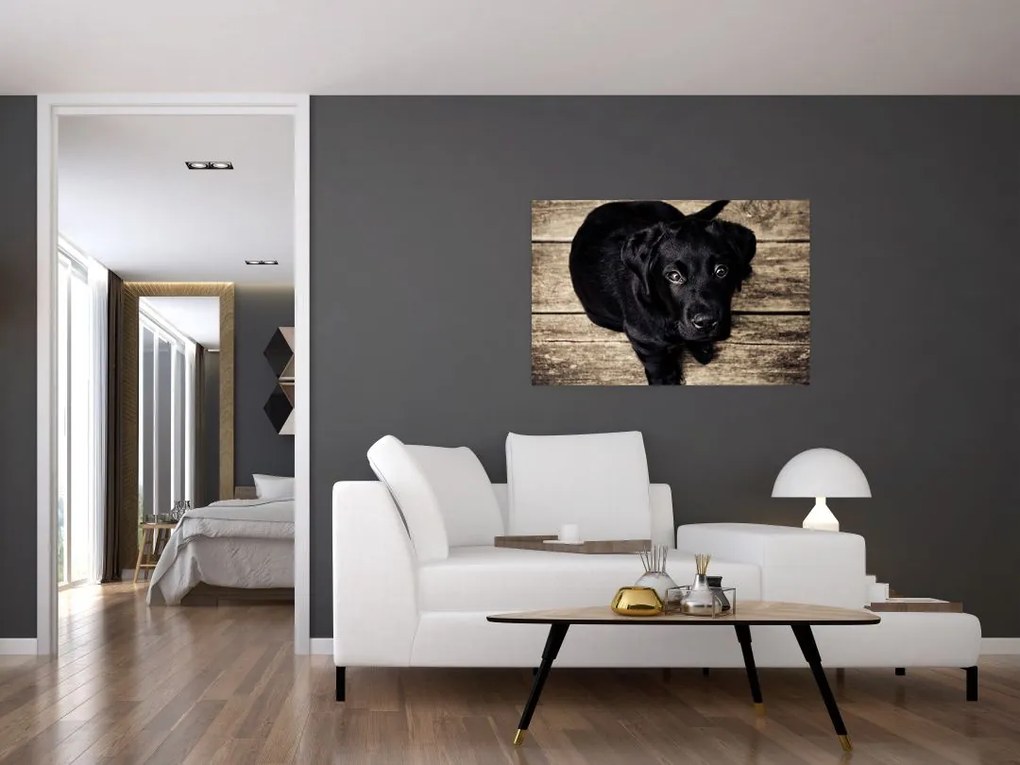 Tablou cu cățeluș negru (90x60 cm)