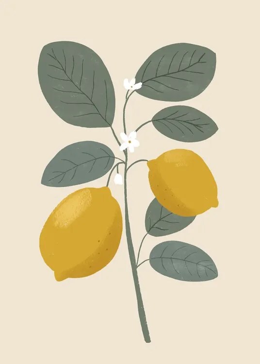 Ilustrație Lemon flower, Katarzyna Gąsiorowska