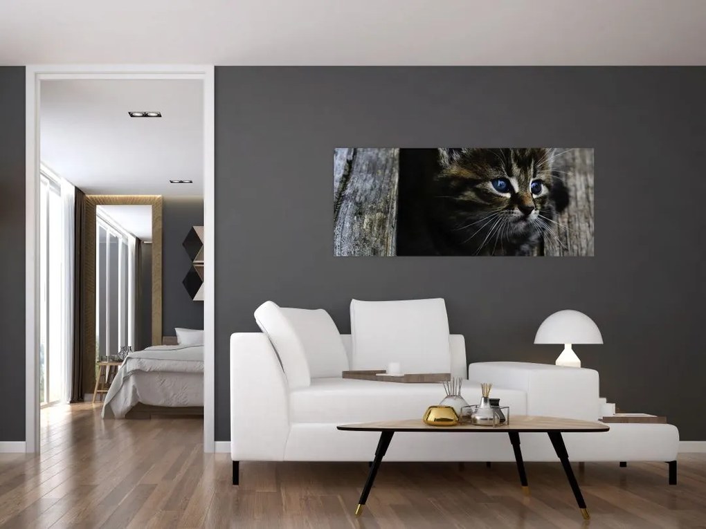 Tablou cu pisicuța (120x50 cm)