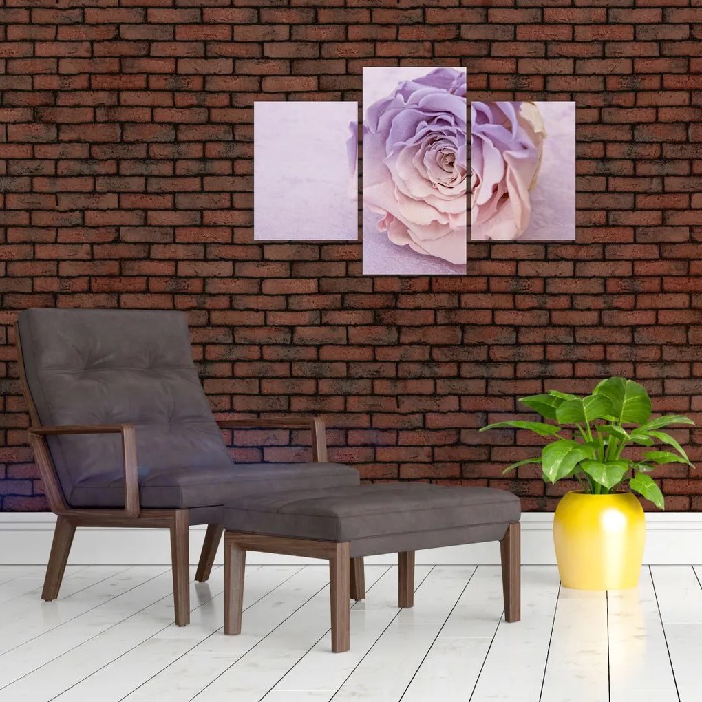 Tablou detaliu florii de trandafir (90x60 cm)