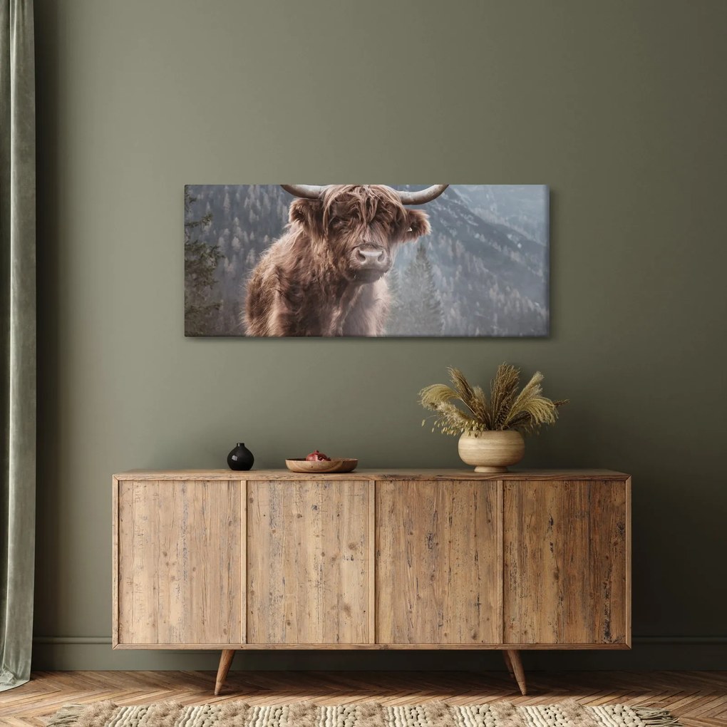 Tablou - Vaca Highlander (120x50 cm)