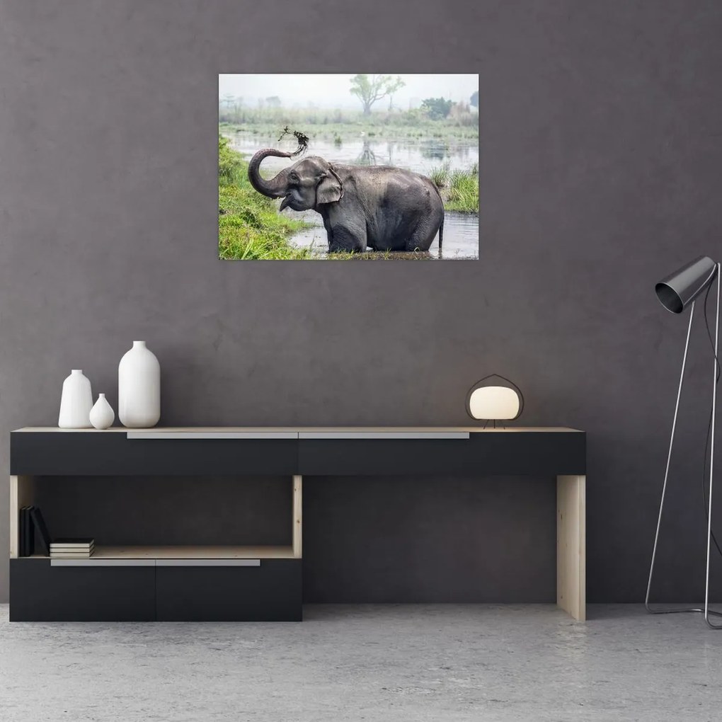 Tablou pe sticlă - Elefant de scăldat (70x50 cm)