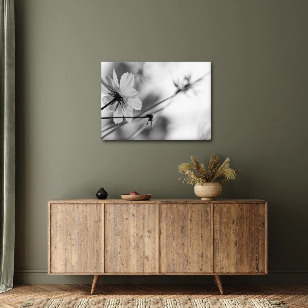 Tablou - Flori alb-negru (70x50 cm)
