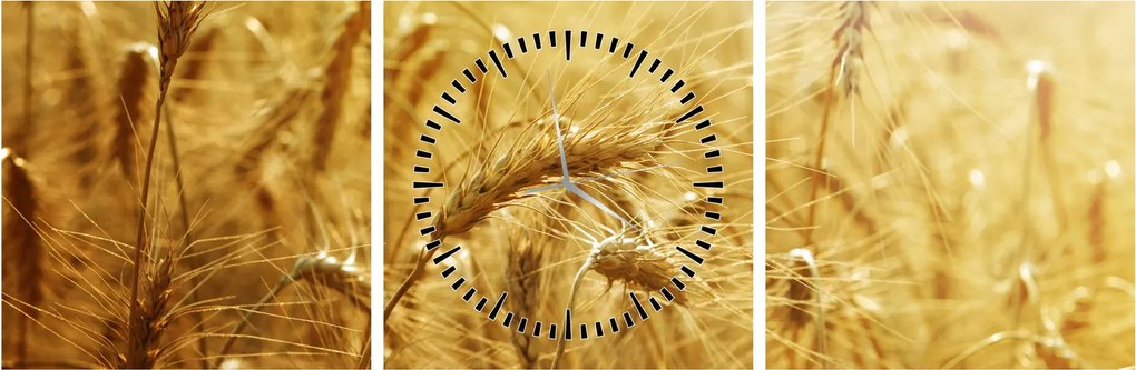 Tablou - Spice de cereale (cu ceas) (90x30 cm)