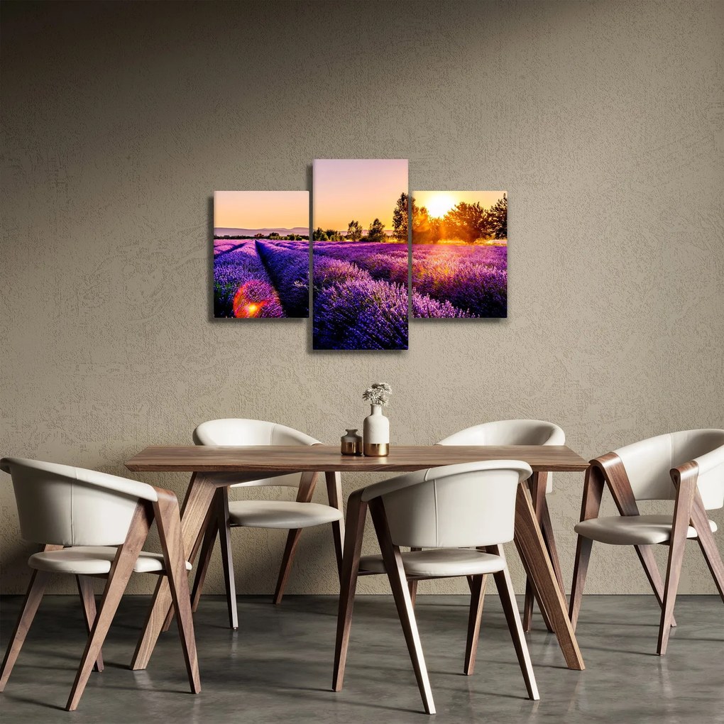 Tablou cu câmp de lavandă, Provincie (90x60 cm)