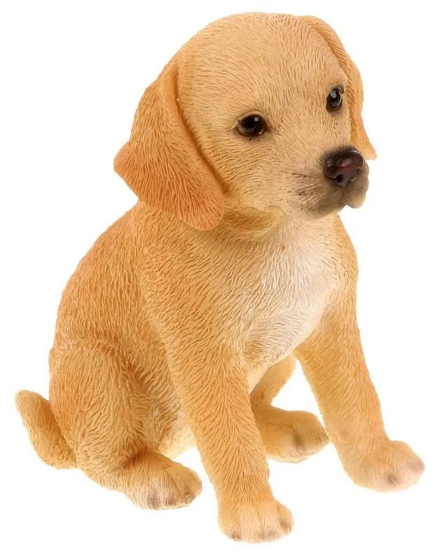 Câine Labrador, poliresină,7 x 8 x 5 cm