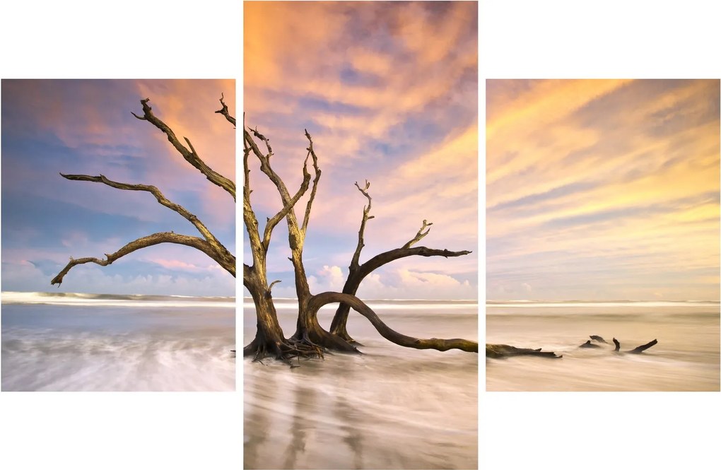 Tablou - Copacul în ocean (90x60 cm)